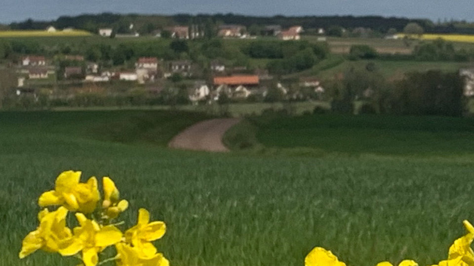 Bouquet_de_printemps_triguerois_01