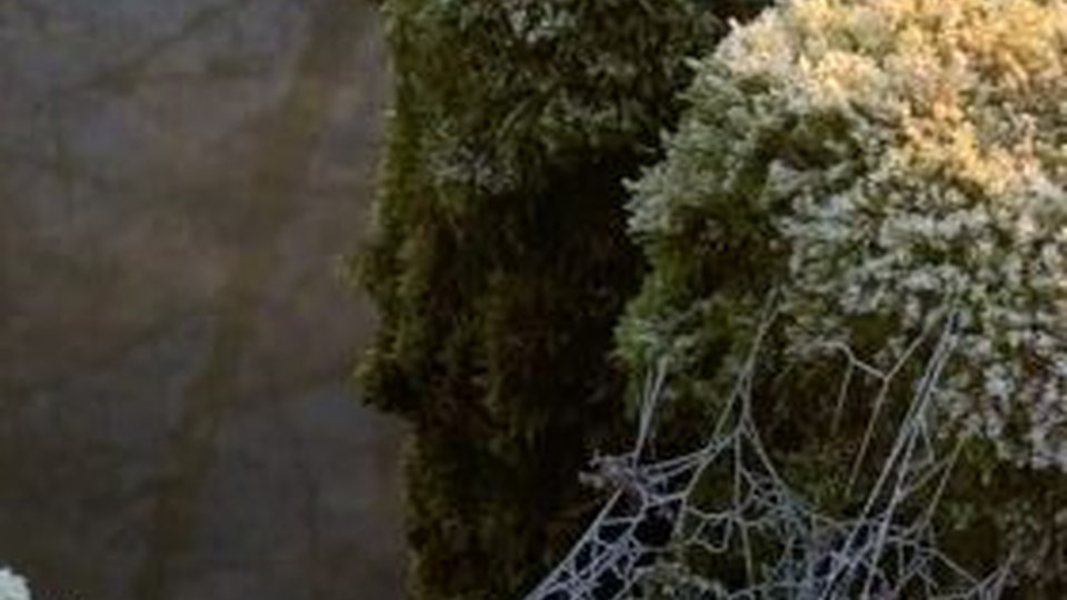 Bouquet_dhiver_triguerois_20