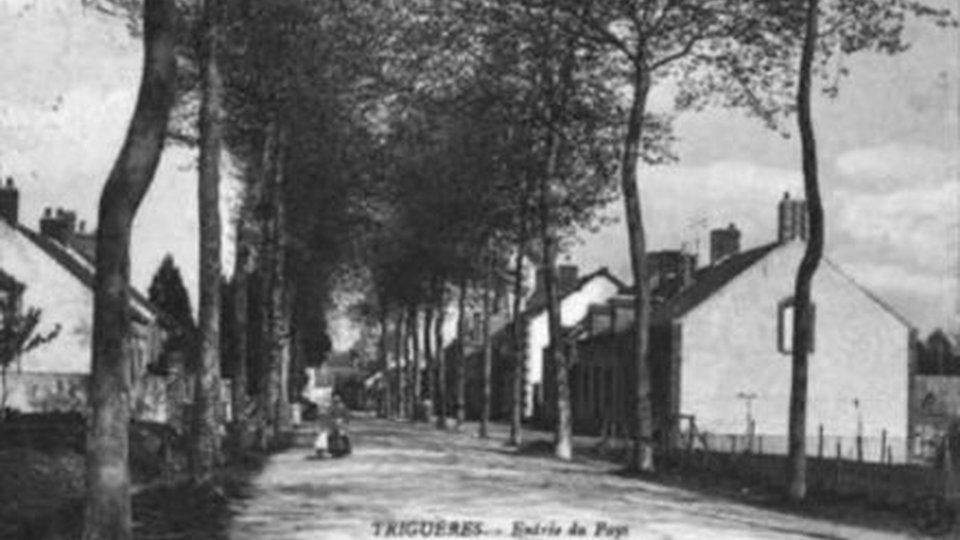 vieux_trigueres_09